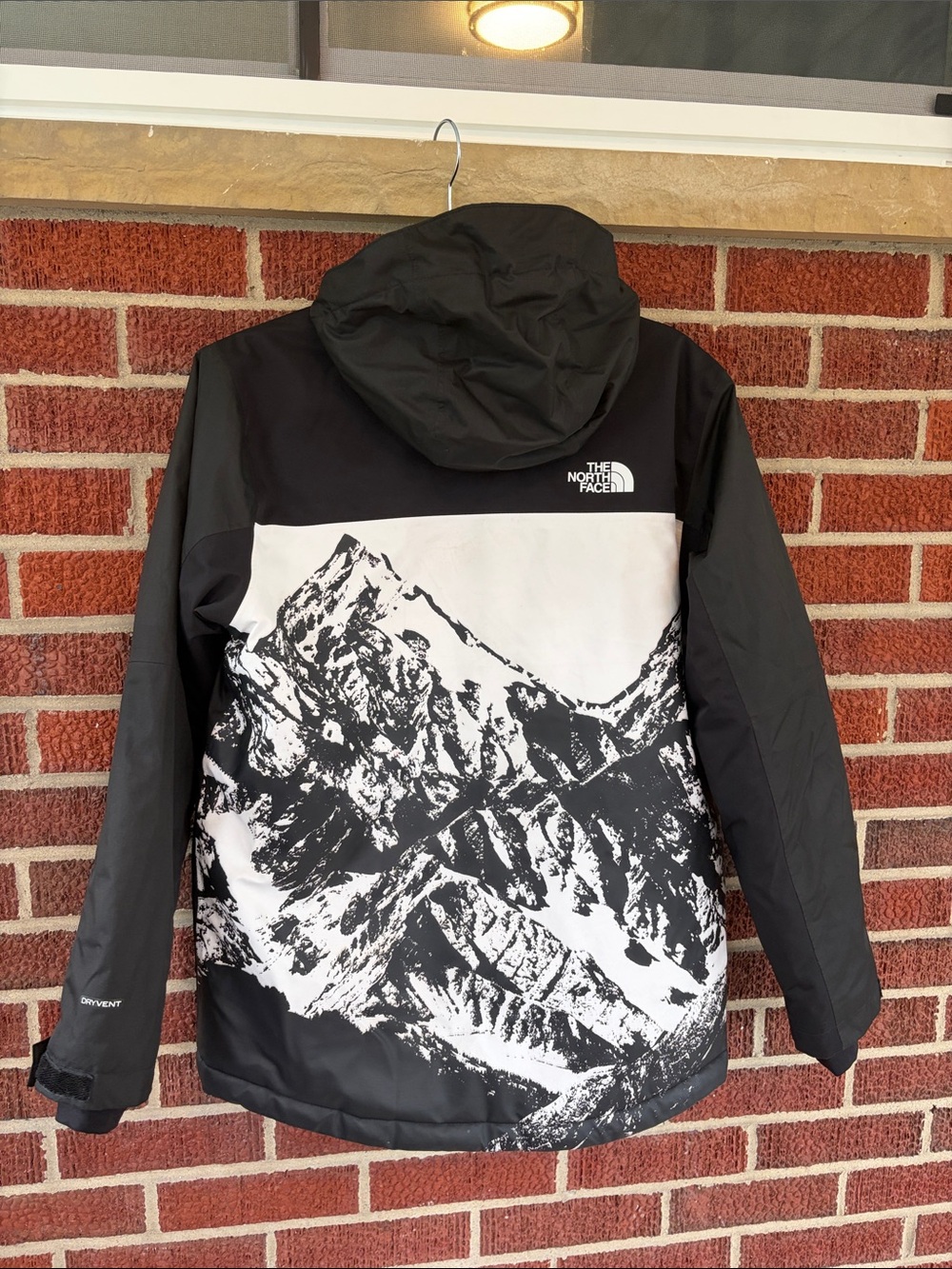 Limited Edition The North Face Black and White Mountain-Print Ski Jacket